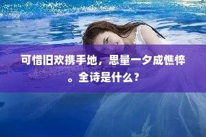 可惜旧欢携手地，思量一夕成憔悴。全诗是什么？