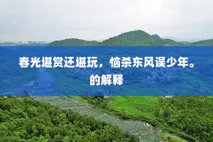 春光堪赏还堪玩，恼杀东风误少年。的解释