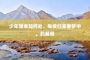 少年薄幸知何处，每夜归来春梦中。的解释