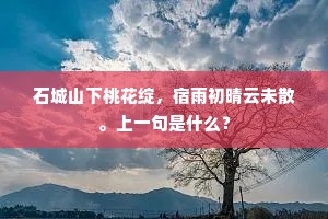 石城山下桃花绽，宿雨初晴云未散。上一句是什么？
