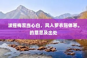 波摇梅蕊当心白，风入罗衣贴体寒。的意思及出处