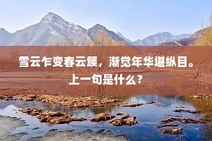 雪云乍变春云簇，渐觉年华堪纵目。上一句是什么？