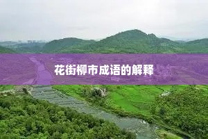 花街柳市成语的解释