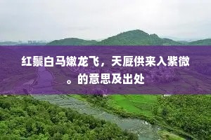 红鬃白马嫩龙飞，天厩供来入紫微。的意思及出处