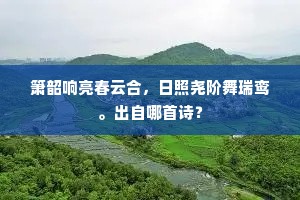 箫韶响亮春云合，日照尧阶舞瑞鸾。出自哪首诗？