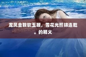 龙凤金鞍软玉鞭，雪花光照锦连乾。的释义