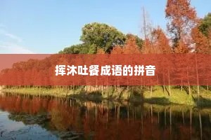 挥沐吐餐成语的拼音