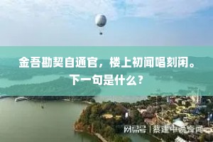 金吾勘契自通官，楼上初闻唱刻闲。下一句是什么？