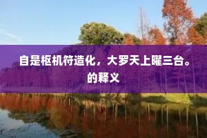 自是枢机符造化，大罗天上曜三台。的释义