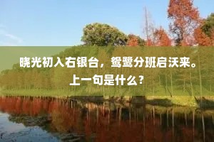 晓光初入右银台，鸳鹭分班启沃来。上一句是什么？