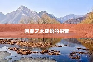 回春之术成语的拼音