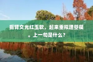 扼臂交光红玉软，起来重拟理箜篌。上一句是什么？