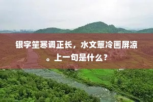 银字笙寒调正长，水文簟冷画屏凉。上一句是什么？
