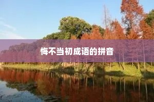 悔不当初成语的拼音