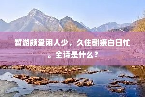 暂游颇爱闲人少，久住翻嫌白日忙。全诗是什么？