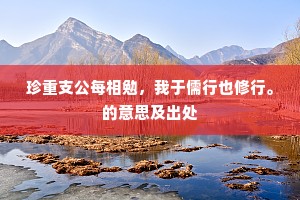 珍重支公每相勉，我于儒行也修行。的意思及出处