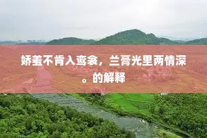娇羞不肯入鸾衾，兰膏光里两情深。的解释