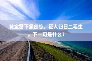 黄金窗下忽然惊，征人归日二毛生。下一句是什么？