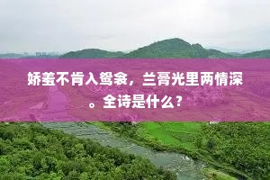 娇羞不肯入鸳衾，兰膏光里两情深。全诗是什么？