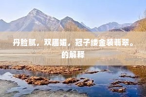丹脸腻，双靥媚，冠子缕金装翡翠。的解释