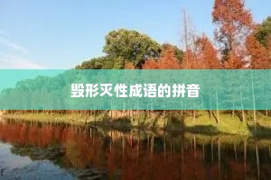 毁形灭性成语的拼音
