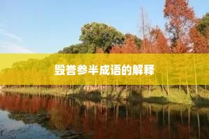 毁誉参半成语的解释
