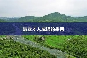 慧业才人成语的拼音