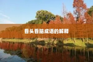 昏头昏脑成语的解释