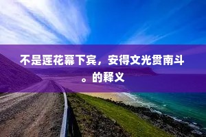 不是莲花幕下宾，安得文光贯南斗。的释义