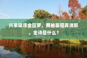 兴来吸尽金叵罗，舞袖裴徊弄清影。全诗是什么？