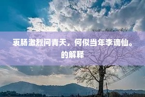 衷肠激烈问青天，何似当年李谪仙。的解释