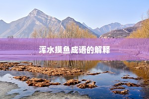 浑水摸鱼成语的解释