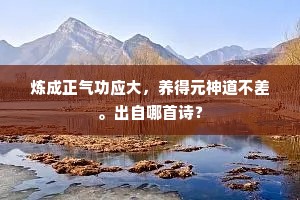 炼成正气功应大，养得元神道不差。出自哪首诗？