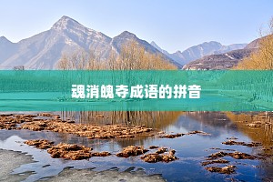 魂消魄夺成语的拼音