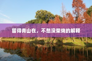 留得青山在，不愁没柴烧的解释