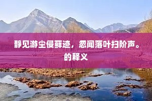 静见游尘侵藓迹，忽闻落叶扫阶声。的释义