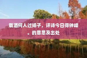 载酒何人过扬子，评诗今日得钟嵘。的意思及出处
