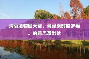 清衷凌物回天鉴，膏泽乘时助岁穰。的意思及出处