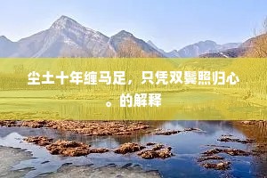 尘土十年缠马足，只凭双鬓照归心。的解释