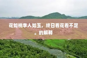 花如桃李人如玉，终日看花看不足。的解释