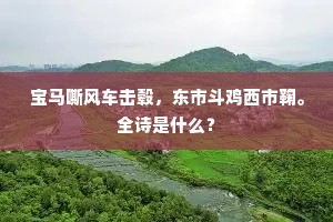 宝马嘶风车击毂，东市斗鸡西市鞠。全诗是什么？