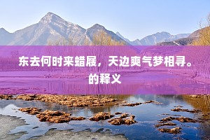 东去何时来蜡屐，天边爽气梦相寻。的释义