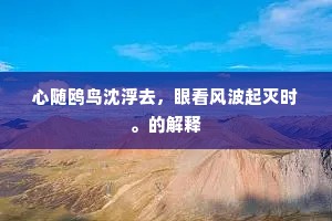 心随鸥鸟沈浮去，眼看风波起灭时。的解释