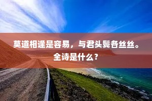 莫道相逢是容易，与君头鬓各丝丝。全诗是什么？