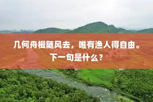 几何舟楫随风去，唯有渔人得自由。下一句是什么？