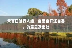 天寒日晚行人绝，自落自开还自香。的意思及出处
