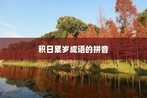 积日累岁成语的拼音
