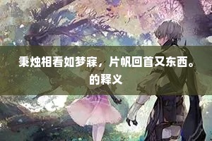 秉烛相看如梦寐，片帆回首又东西。的释义