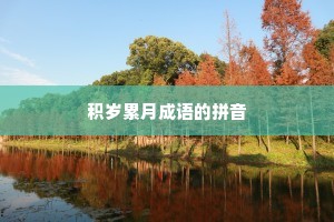 积岁累月成语的拼音