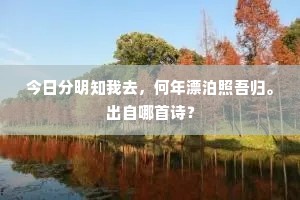 今日分明知我去，何年漂泊照吾归。出自哪首诗？